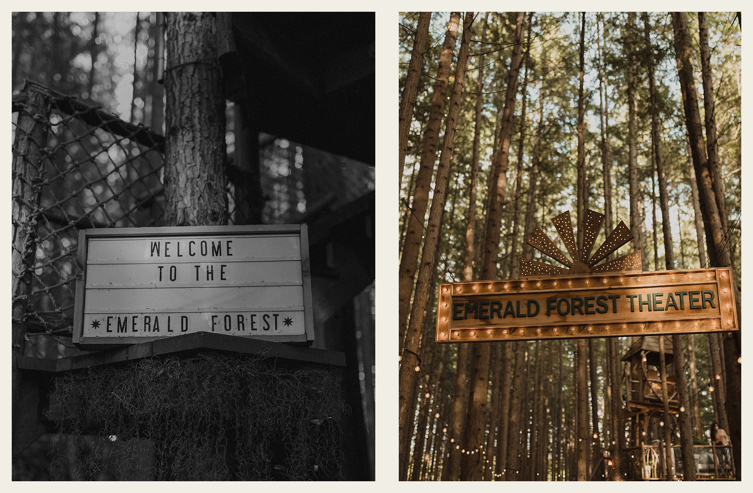 emerald forest signs 
